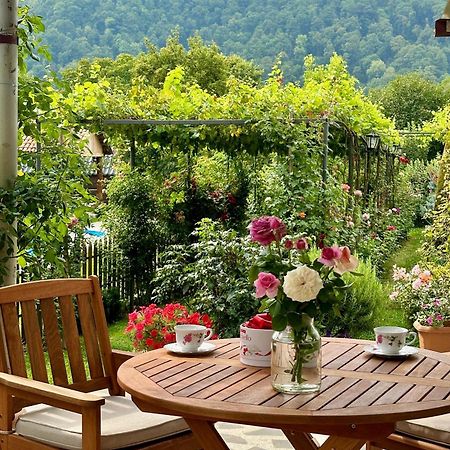 Guest House Gardenia & Wine Cellar Lagodekhi Exterior photo